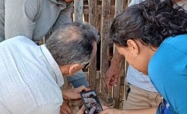 Embrapa Reprodução